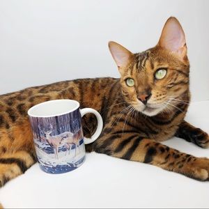 White Tailed Reindeer/ Fawn Mug